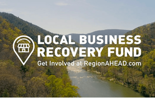 Local Business Recovery Fund to support small businesses during quarantine.