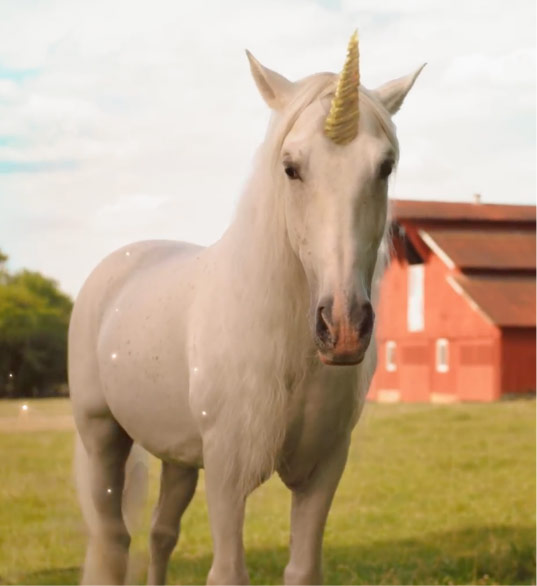 Magical pony has grown up into a unicorn.