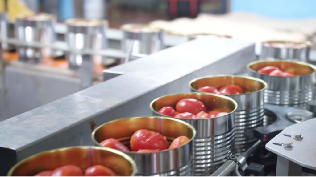 Tomato canning production line.