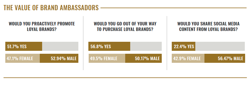 The Value of Brand Ambassadors graph