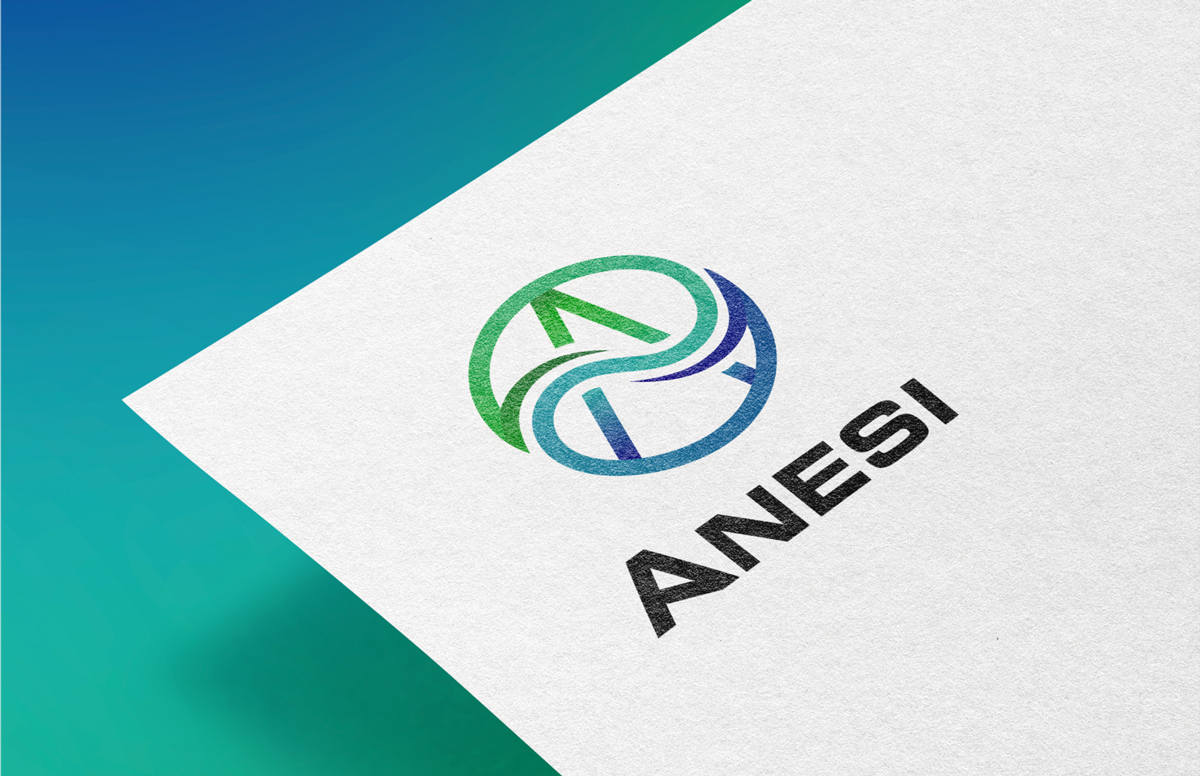 Creative Energy - Anesi - Logo Presentation
